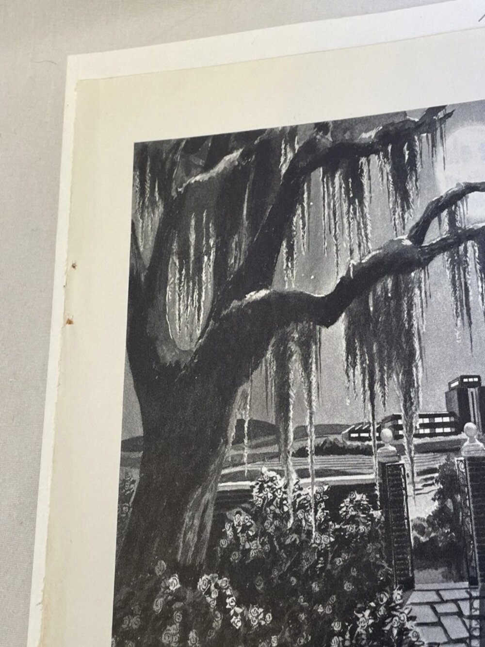 1948 Southern Railway Vintage Print Ad Moonlight Factories National Geographic - Picture 7 of 10